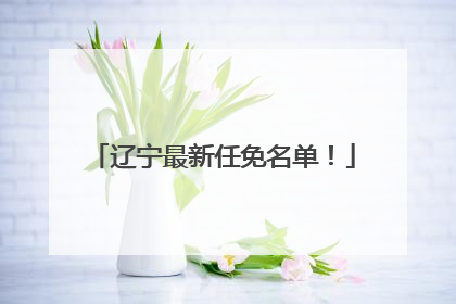 辽宁最新任免名单！