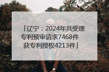 辽宁：2024年共受理专利预审请求7468件 获专利授权4213件
