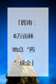 辉南：6万亩林地点“药”成金