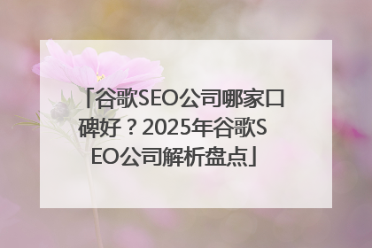 谷歌SEO公司哪家口碑好？2025年谷歌SEO公司解析盘点