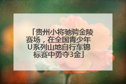 贵州小将驰骋金陵赛场，在全国青少年U系列山地自行车锦标赛中勇夺3金