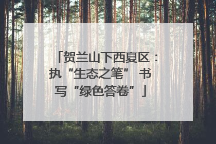 贺兰山下西夏区：执“生态之笔” 书写“绿色答卷”