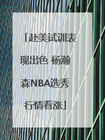 赴美试训表现出色 杨瀚森NBA选秀行情看涨