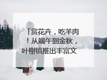 赏花卉，吃羊肉！从端午到金秋，叶榭镇推出丰富文旅活动邀您爽玩