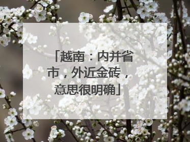 越南：内并省市，外近金砖，意思很明确