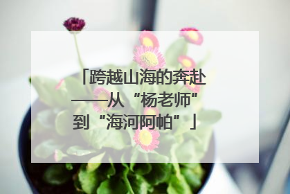 跨越山海的奔赴——从“杨老师”到“海河阿帕”