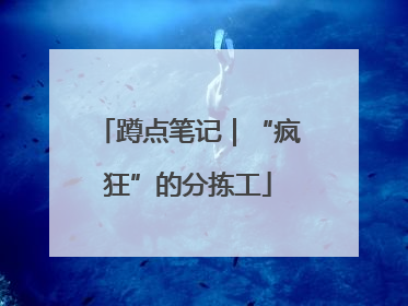 蹲点笔记｜“疯狂”的分拣工