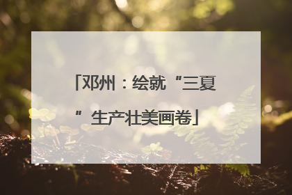 邓州：绘就“三夏”生产壮美画卷