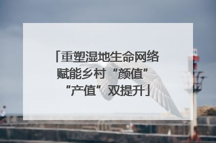 重塑湿地生命网络 赋能乡村“颜值”“产值”双提升