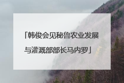 韩俊会见秘鲁农业发展与灌溉部部长马内罗