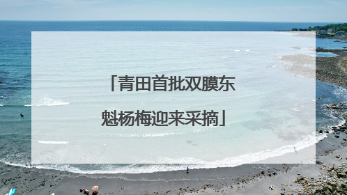 青田首批双膜东魁杨梅迎来采摘