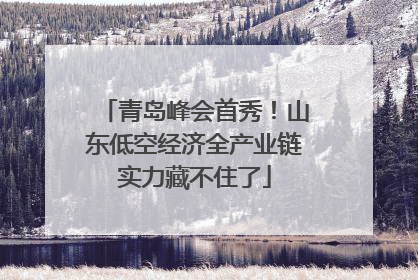 青岛峰会首秀！山东低空经济全产业链实力藏不住了