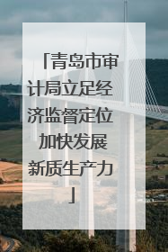 青岛市审计局立足经济监督定位 加快发展新质生产力