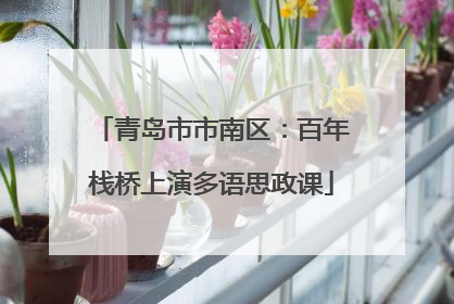 青岛市市南区：百年栈桥上演多语思政课
