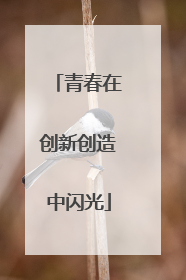 青春在创新创造中闪光