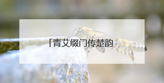 青艾缀门传楚韵 青岛郑州路第二小学开展端午节活动
