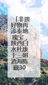 非遗好物再添秦地瑰宝，陕西白水杜康十三朝酒海陈藏30年别具一格
