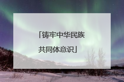 铸牢中华民族共同体意识
