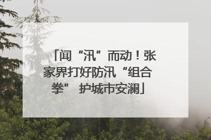 闻“汛”而动！张家界打好防汛“组合拳” 护城市安澜