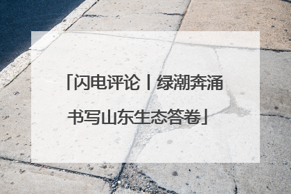闪电评论丨绿潮奔涌 书写山东生态答卷