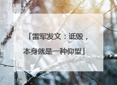 雷军发文：诋毁，本身就是一种仰望
