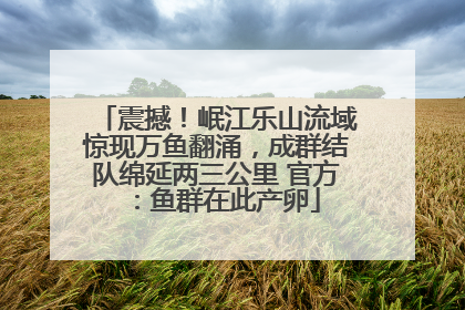 震撼！岷江乐山流域惊现万鱼翻涌，成群结队绵延两三公里 官方：鱼群在此产卵