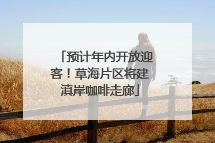 预计年内开放迎客！草海片区将建滇岸咖啡走廊