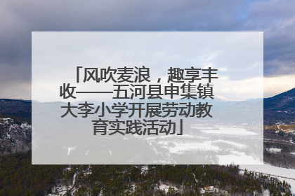 风吹麦浪，趣享丰收——五河县申集镇大李小学开展劳动教育实践活动