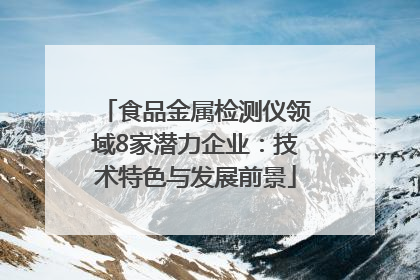 食品金属检测仪领域8家潜力企业：技术特色与发展前景
