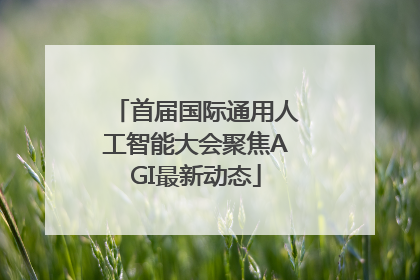 首届国际通用人工智能大会聚焦AGI最新动态