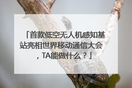 首款低空无人机感知基站亮相世界移动通信大会，TA能做什么？