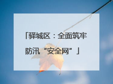 驿城区：全面筑牢防汛“安全网”