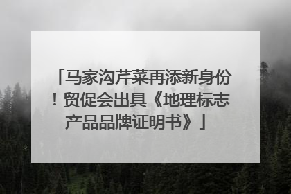 马家沟芹菜再添新身份！贸促会出具《地理标志产品品牌证明书》