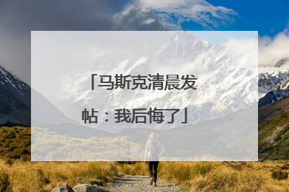 马斯克清晨发帖：我后悔了