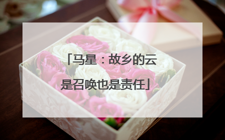 马星：故乡的云是召唤也是责任