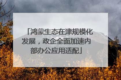 鸿蒙生态在津规模化发展，政企全面加速内部办公应用适配