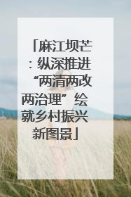 麻江坝芒：纵深推进“两清两改两治理”绘就乡村振兴新图景