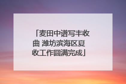 麦田中谱写丰收曲 潍坊滨海区夏收工作圆满完成