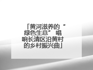 黄河滋养的“绿色生意” 唱响长清区沿黄村的乡村振兴曲
