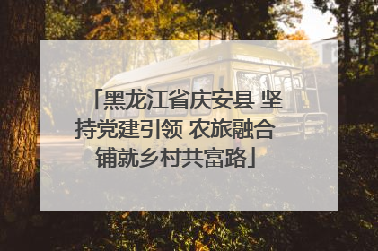 黑龙江省庆安县 坚持党建引领 农旅融合铺就乡村共富路