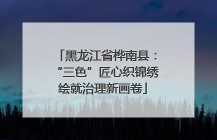 黑龙江省桦南县：“三色”匠心织锦绣 绘就治理新画卷