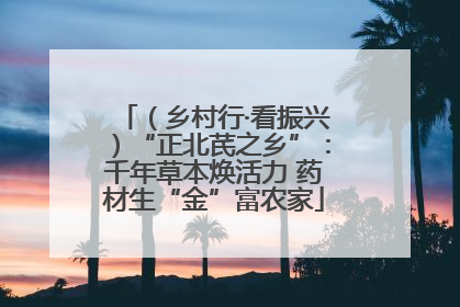 （乡村行·看振兴）“正北芪之乡”：千年草本焕活力 药材生“金”富农家