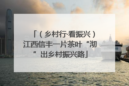 （乡村行·看振兴）江西信丰一片茶叶“沏”出乡村振兴路