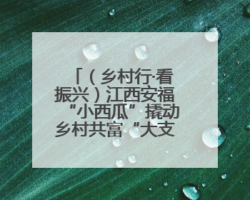 （乡村行·看振兴）江西安福“小西瓜”撬动乡村共富“大支点”