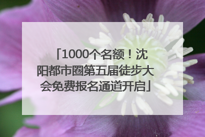 1000个名额！沈阳都市圈第五届徒步大会免费报名通道开启