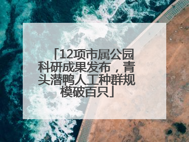 12项市属公园科研成果发布，青头潜鸭人工种群规模破百只