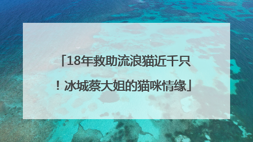 18年救助流浪猫近千只！冰城蔡大姐的猫咪情缘