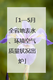 1—5月全省地表水、环境空气质量状况出炉