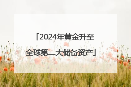 2024年黄金升至全球第二大储备资产