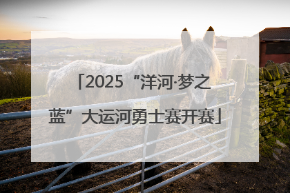 2025“洋河·梦之蓝”大运河勇士赛开赛